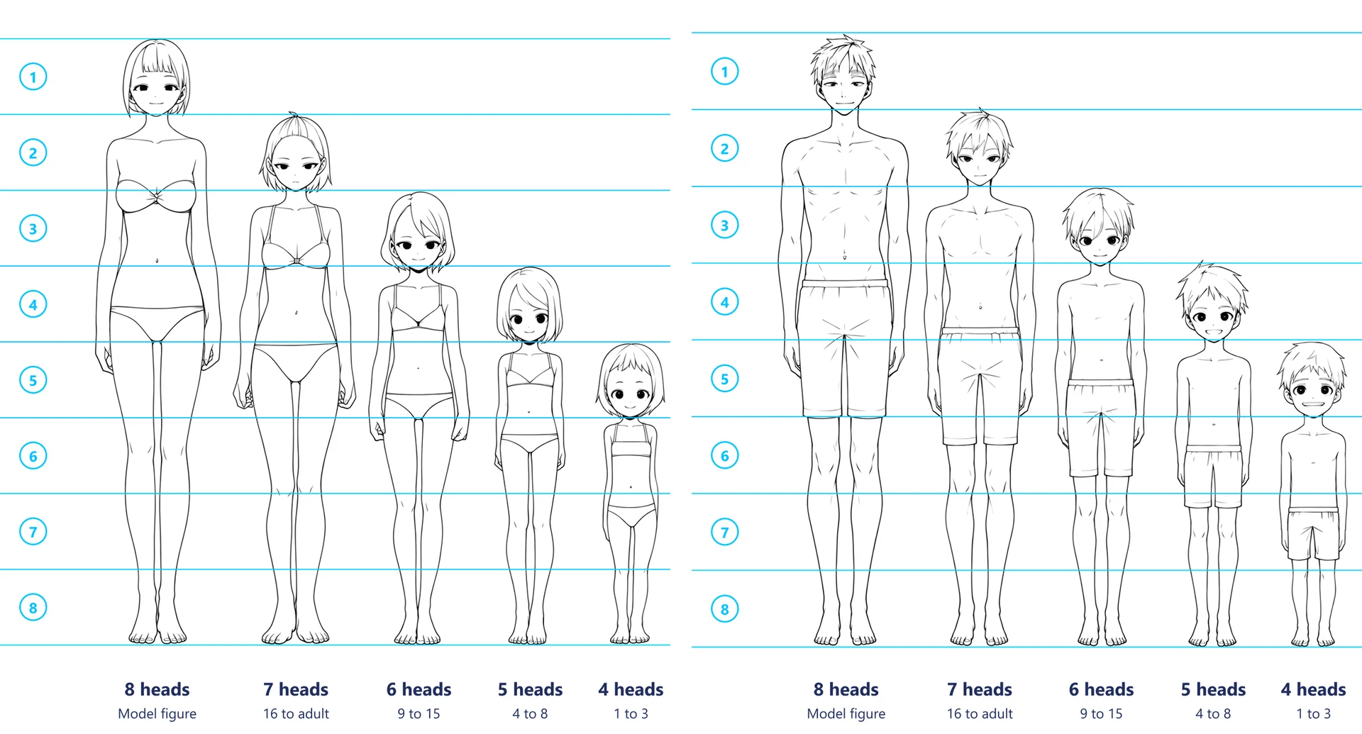 Anime girls and boys lined up from 8 heads down to 4 heads, with a blue line at every head height