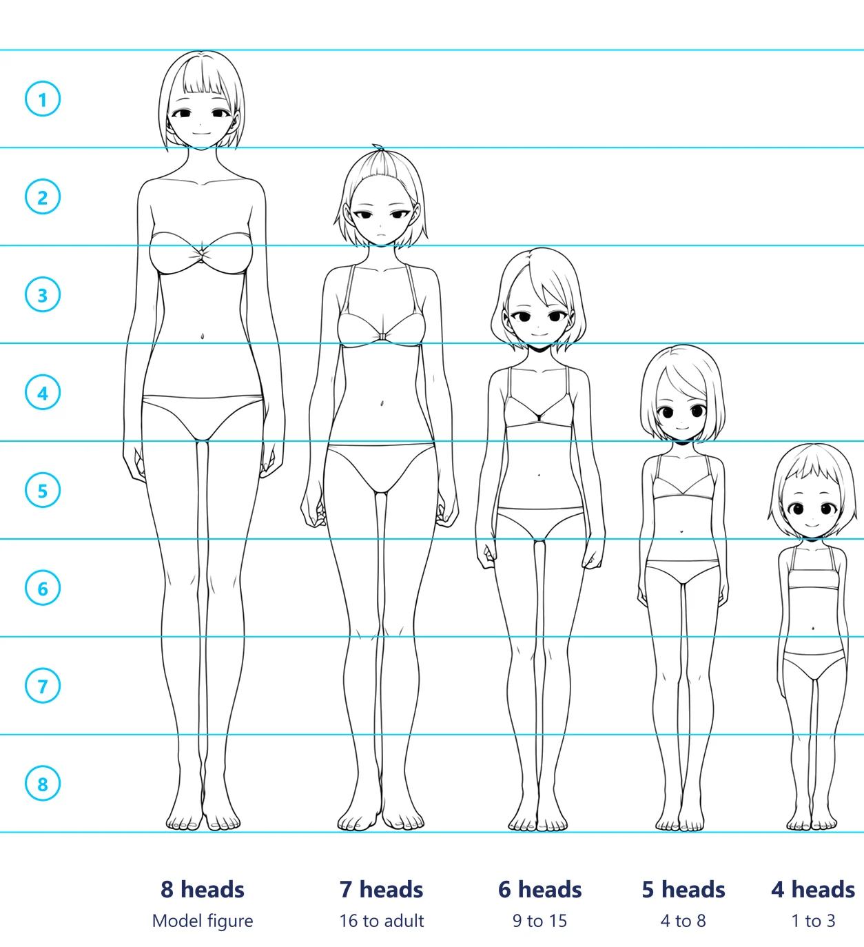 Five anime girls from 8 heads to 4 heads with head-height lines