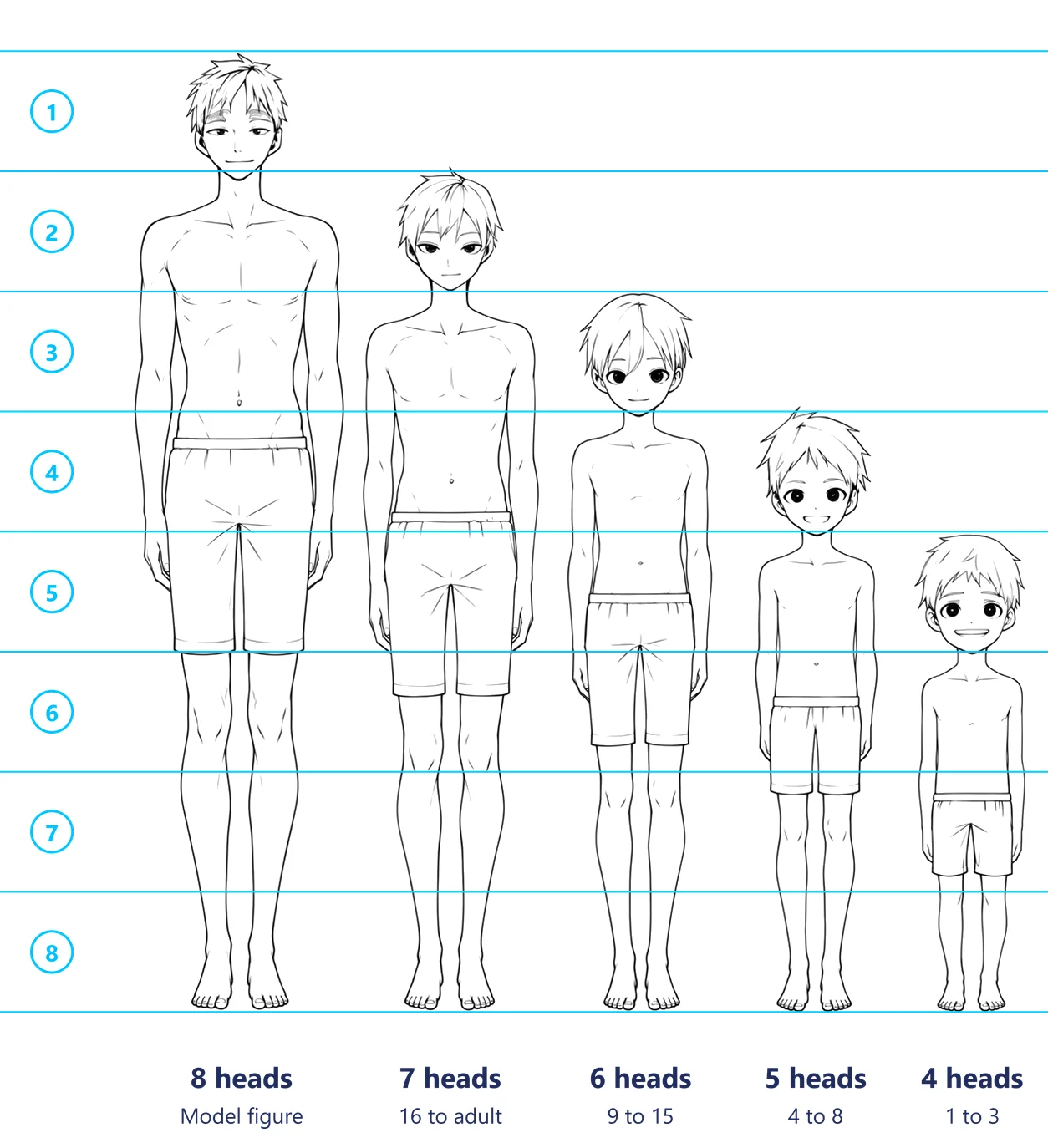 Five anime boys from 8 heads to 4 heads with head-height lines