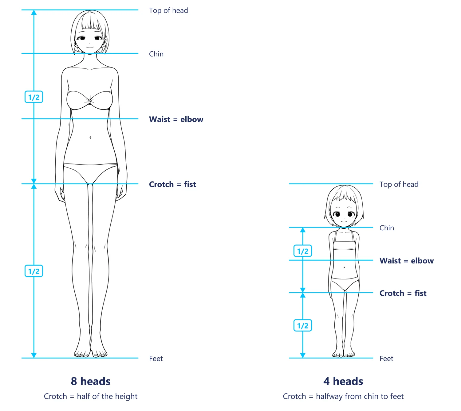 An 8-head and a 4-head anime girl with lines at the head, chin, waist, crotch and feet
