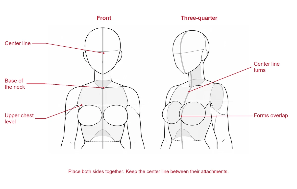 Front and three-quarter faceless torso studies with vertical center lines and a horizontal chest-placement guide.