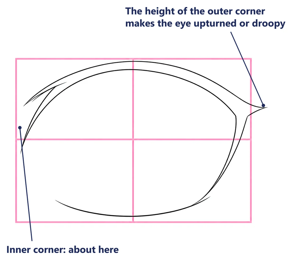 The upper eyelid added, with labels for the outer corner and the inner corner