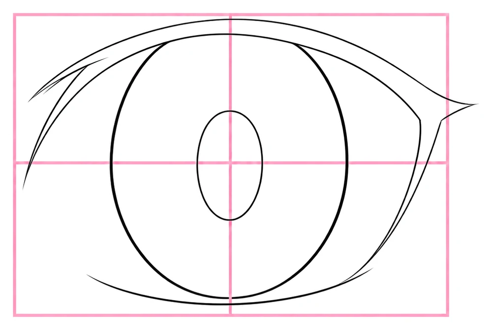 A tall oval iris and a small pupil oval drawn inside the eye