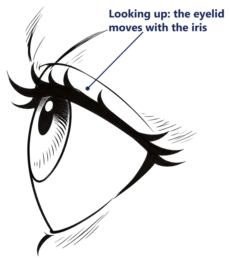 An anime eye looking up, side view, labeled the eyelid moves with the iris
