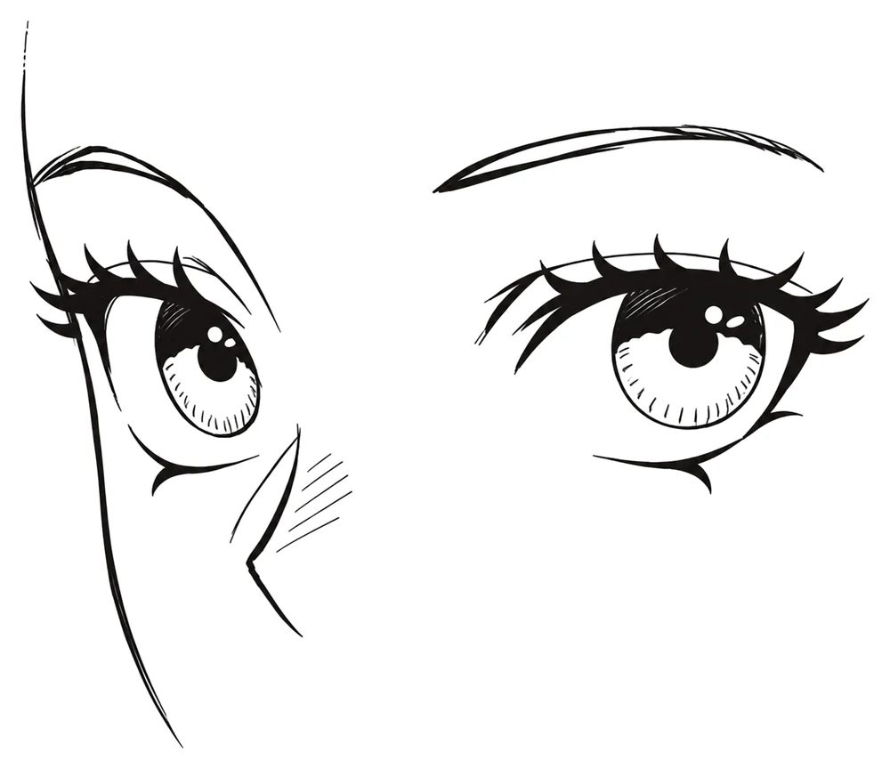 A turned face with both eyes looking to the side
