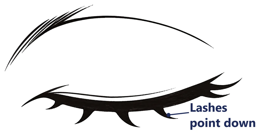 A closed anime eye, front view, labeled lashes point down
