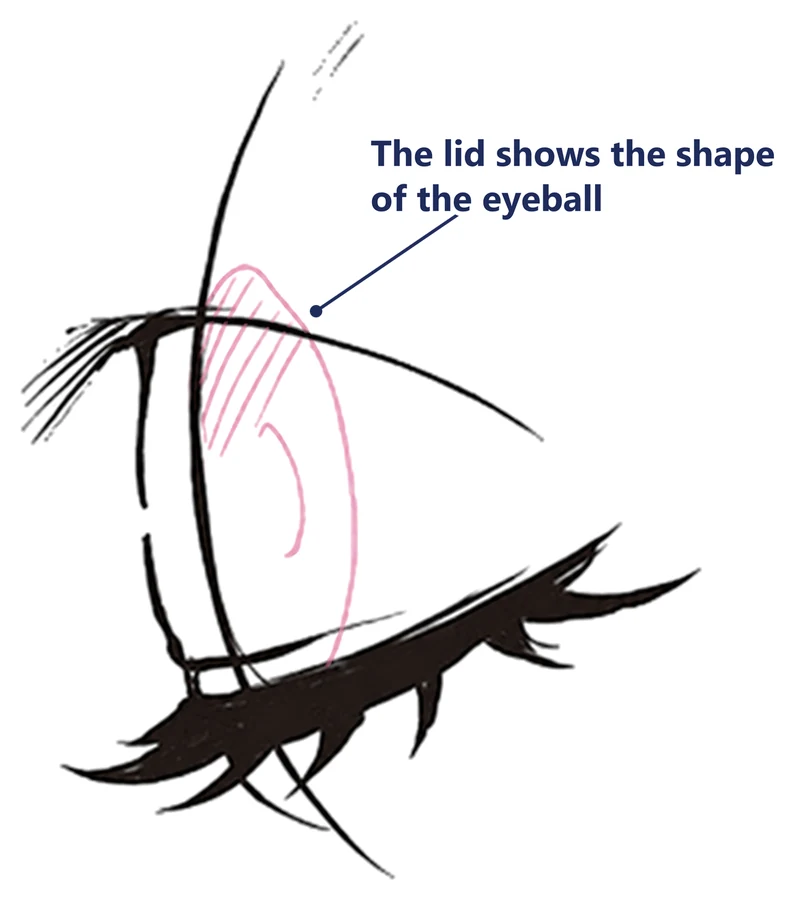 A closed anime eye, side view, with the eyeball shape shown in pink under the lid