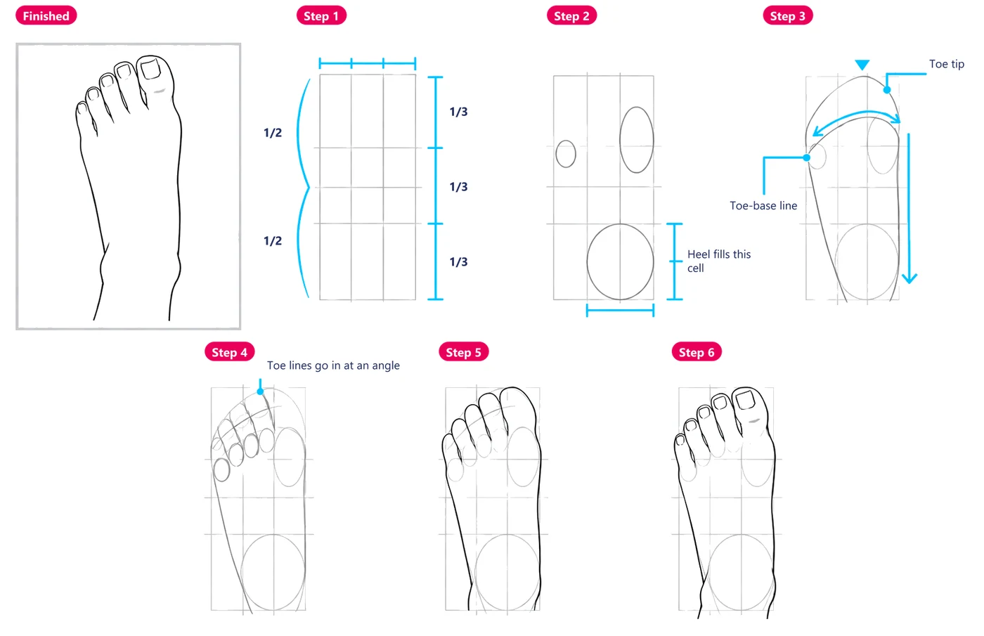 A foot drawn from above in six steps, starting from a grid
