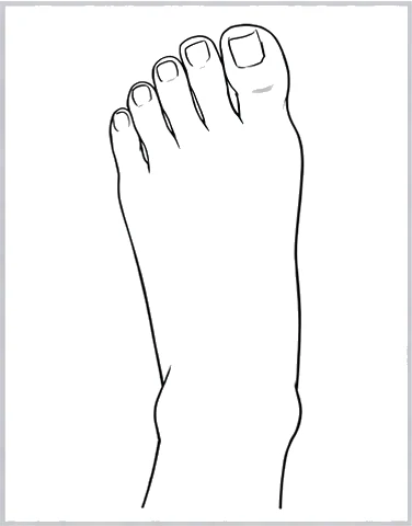 The finished foot drawn from above