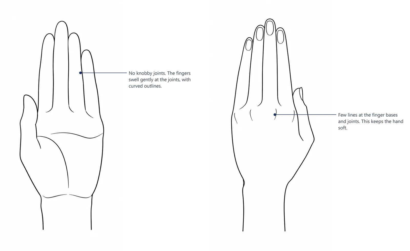 A female hand from the palm side and from the back, with smooth joints and few lines