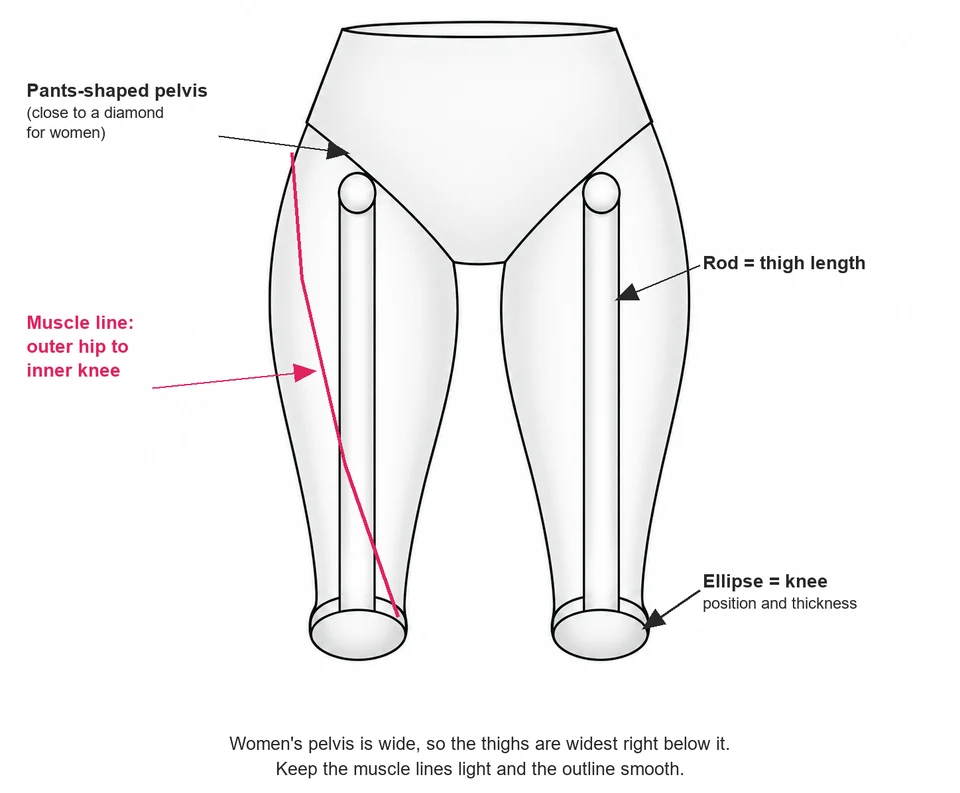 Front view thigh construction: a pants-shaped pelvis, rods for the thigh bones, ellipses at the knees and a red muscle line from the outer hip to the inner knee.