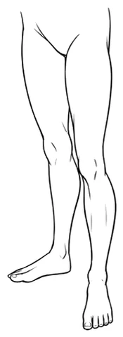 The finished pair of standing legs