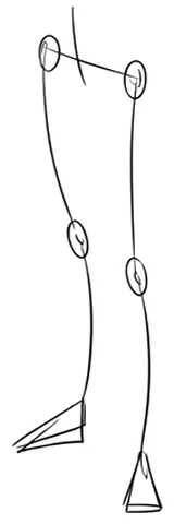 Step 1: small ovals for the hips, knees and ankles joined by lines, with simple shapes for the feet