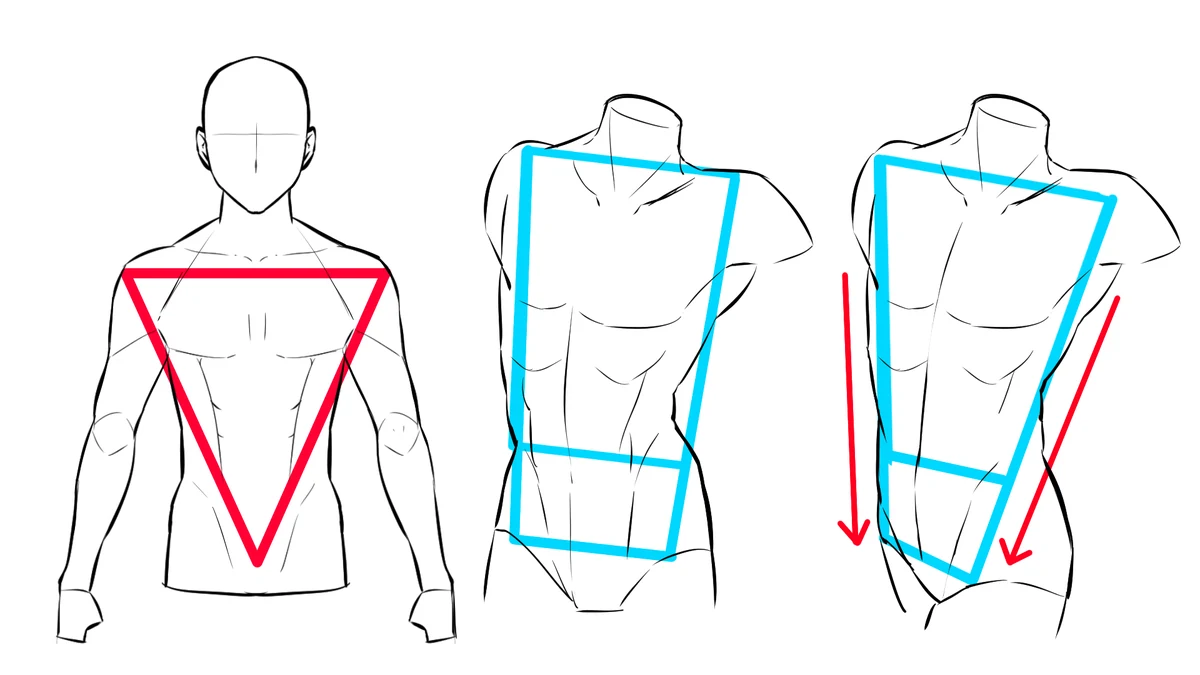Lesson frame: a male torso inside a red inverted triangle, then the torso as blue boxes without and with a twist at the waist