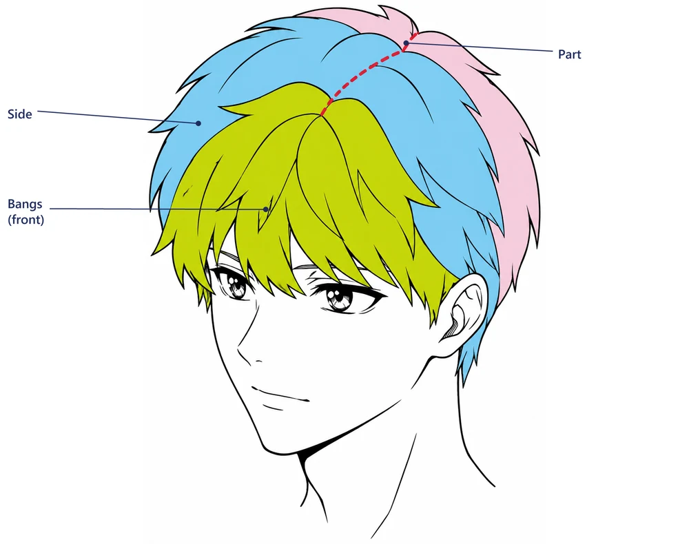 Anime boy's short hair colored by block: green bangs, blue sides, pink back, with a red dashed part line