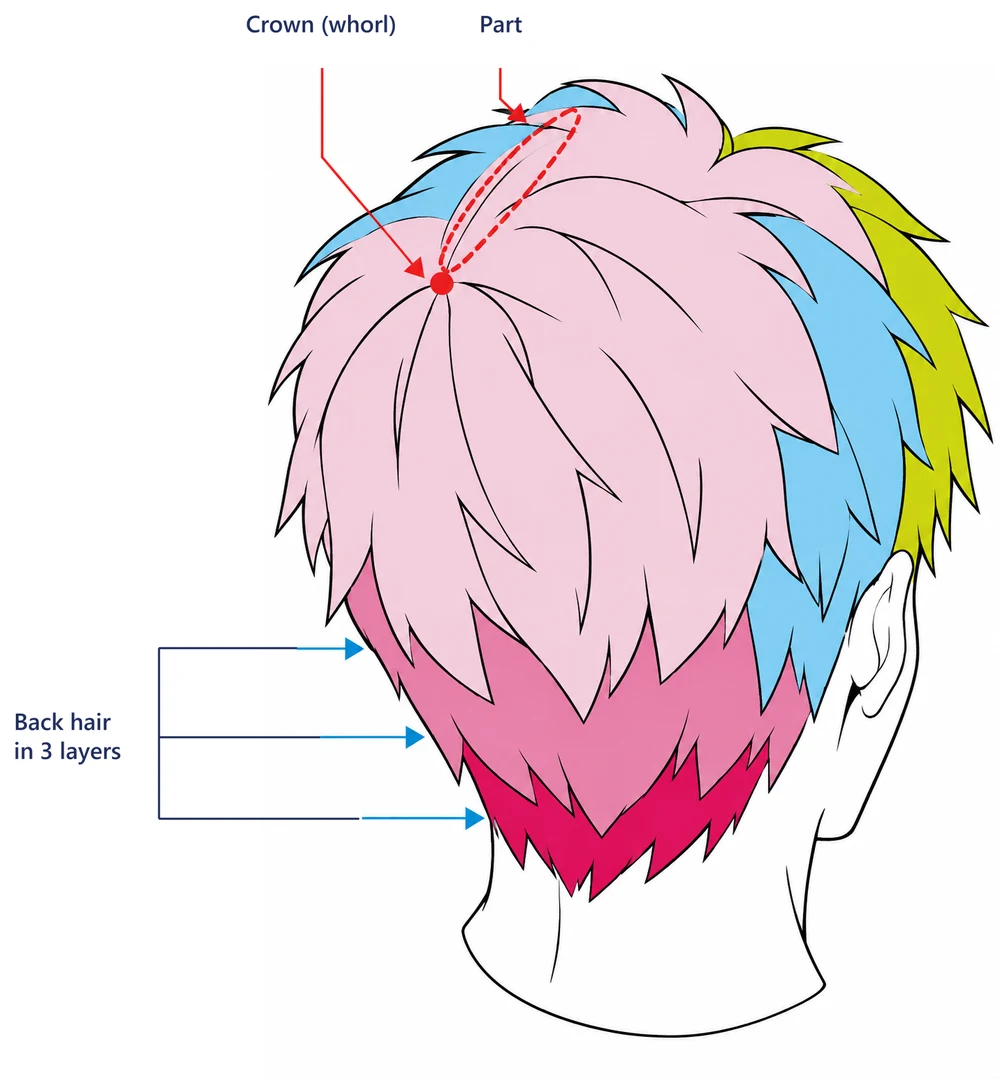 The back of an anime boy's head seen from above, with the whorl, the part and three pink layers of back hair