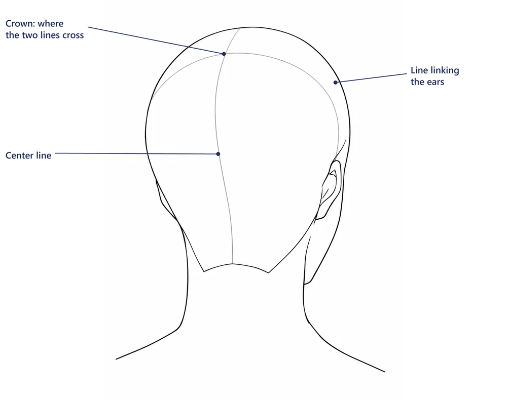 Back of an anime boy's head with a gray line linking the ears and a gray center line crossing at the whorl