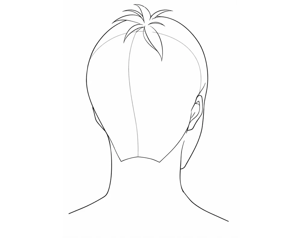 The same head from behind with rough tufts of hair growing from the whorl