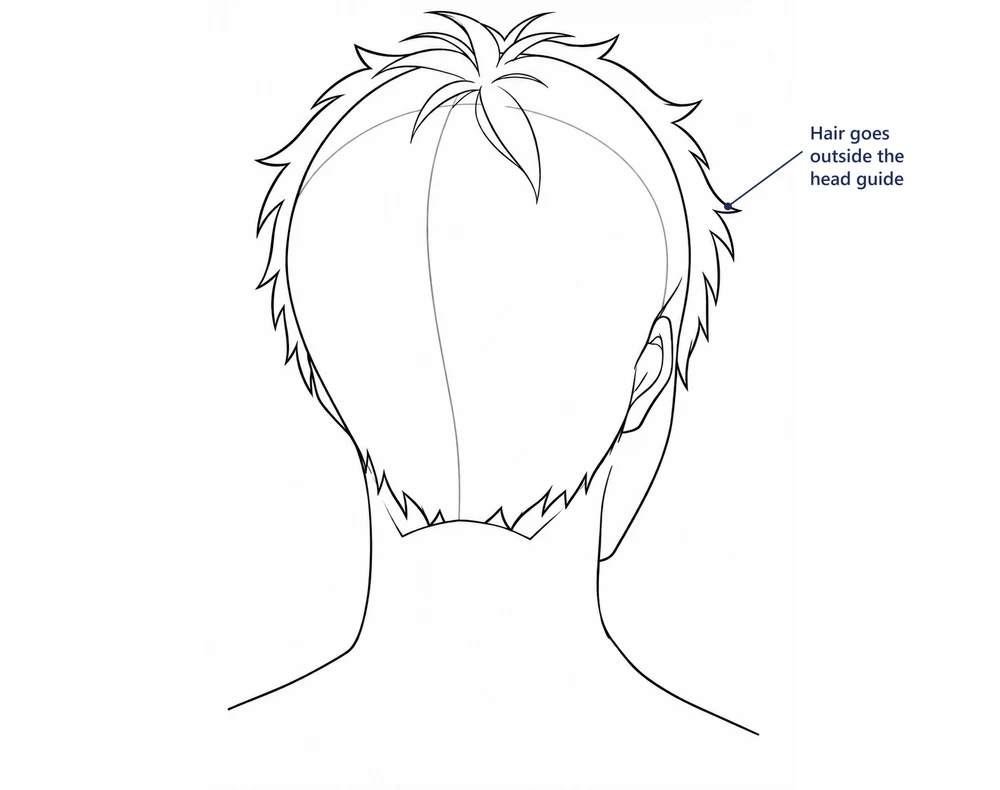 The same head from behind with the hair outline drawn outside the head guide
