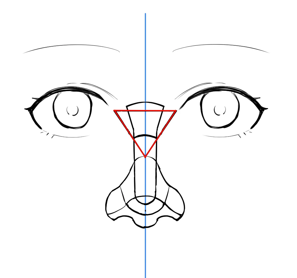 The full nose shape with bridge, tip, wings and nostrils sketched over the red triangle guide