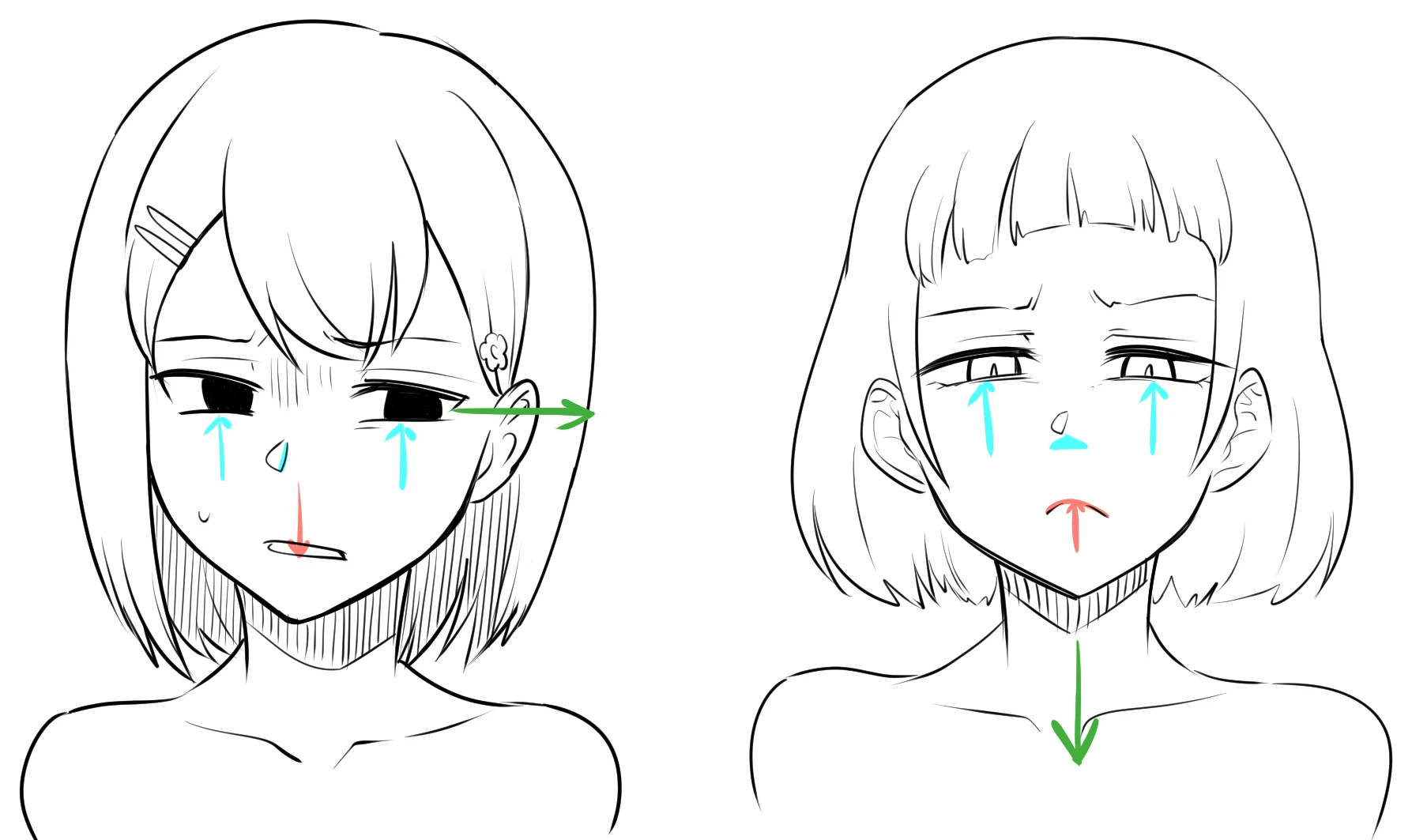 Two anime girls showing disgust. Light blue arrows lift the cheeks and nose, red marks the mouths and green arrows show one girl looking away and the other looking down