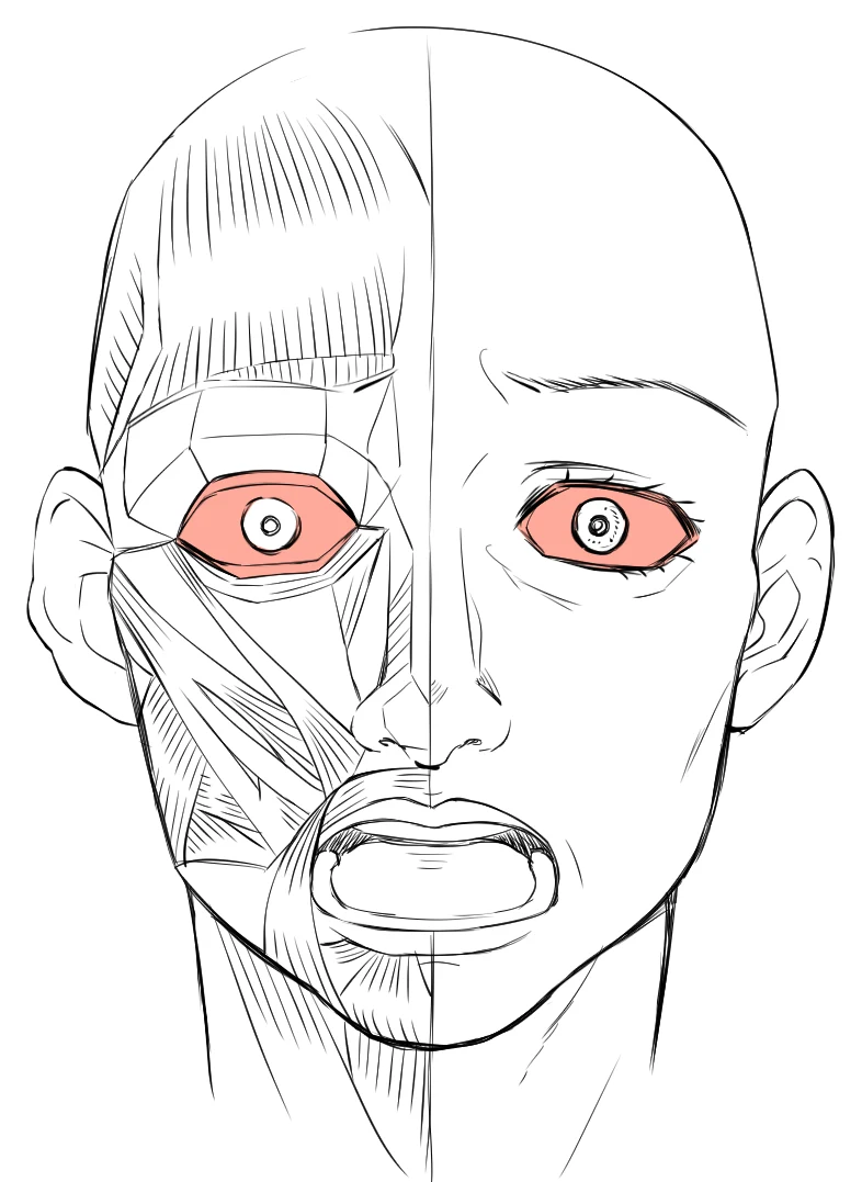 The same half-muscle face with both eyes colored orange, wide open